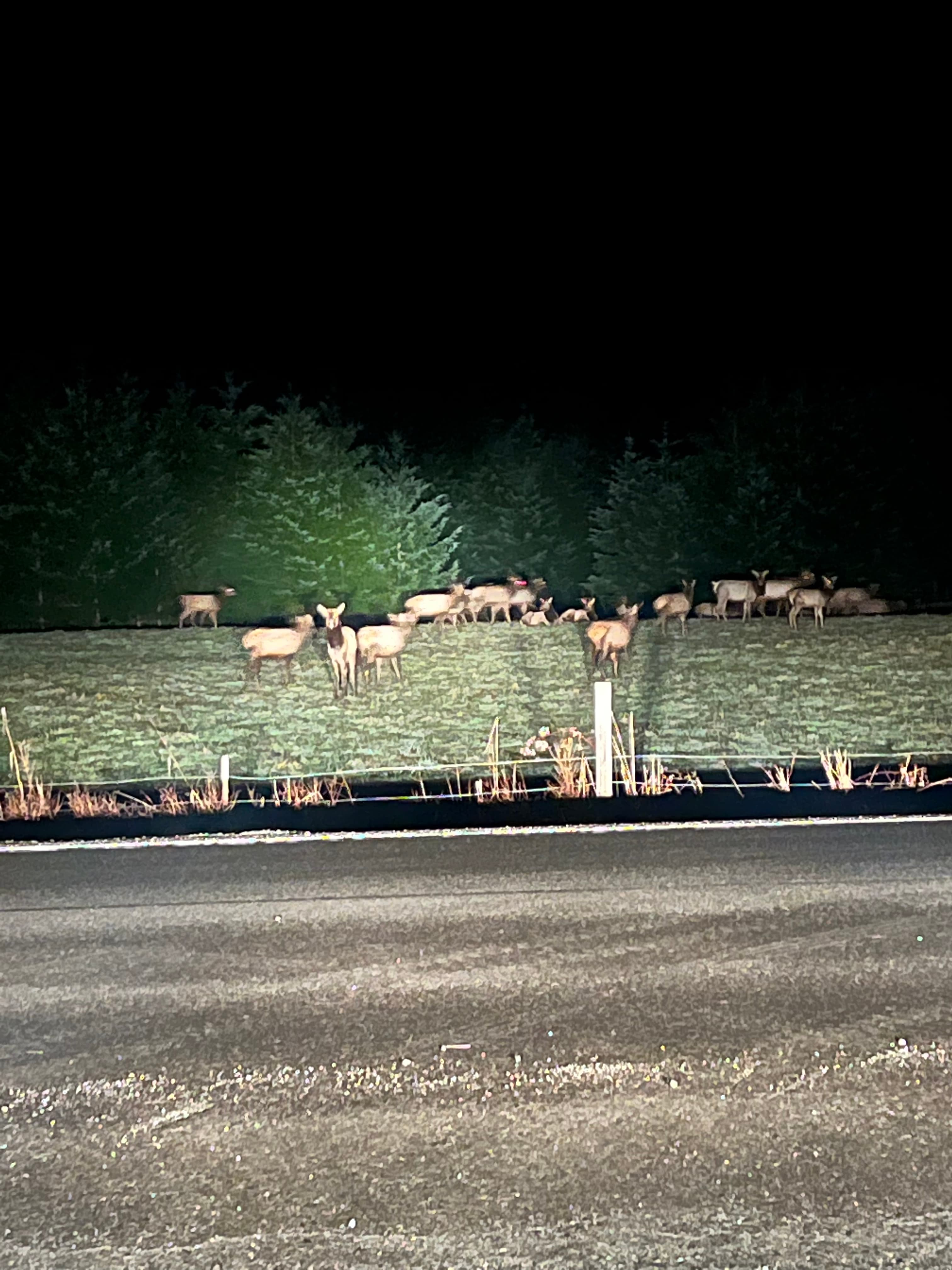 Feed Delivery image 2