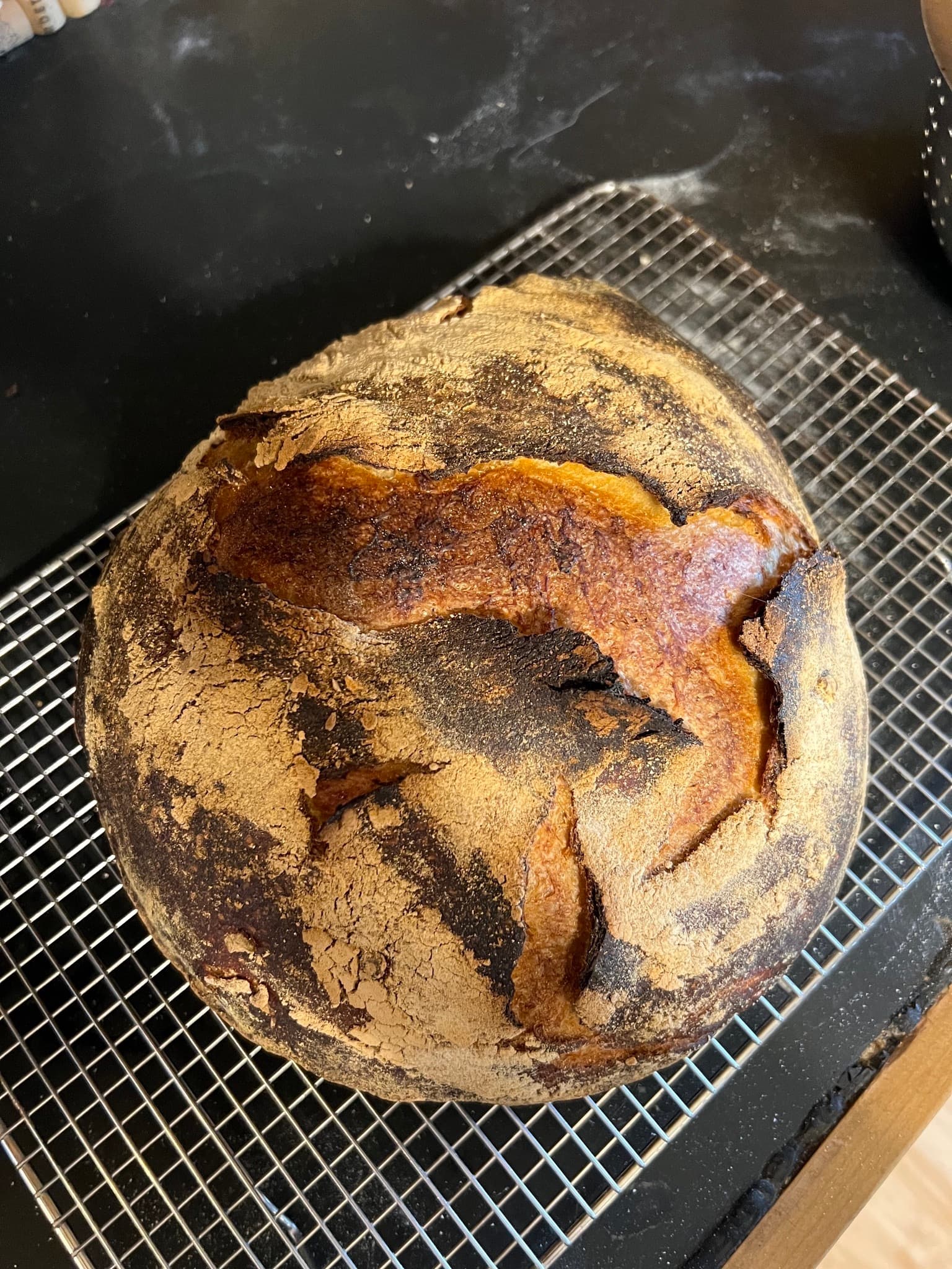 A Balmy January Day image 4