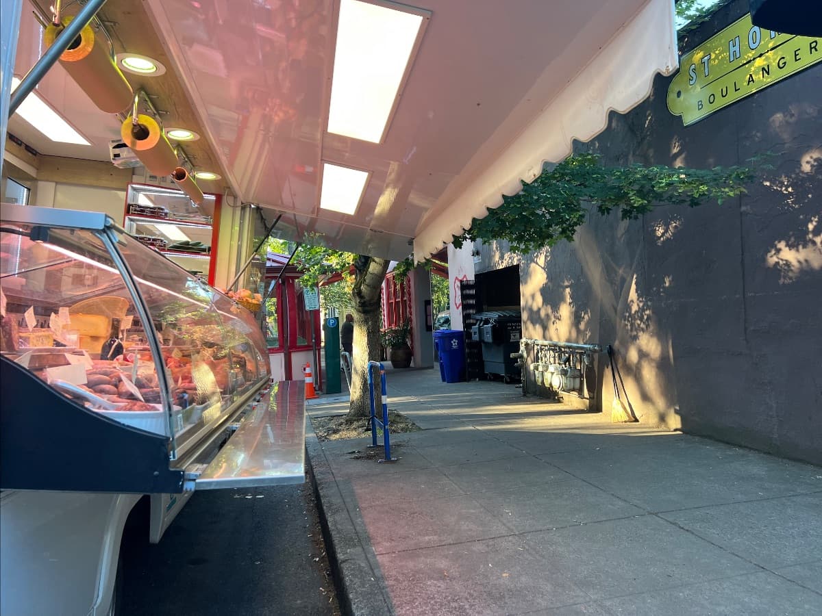 Born Under the Oak Tree image 3