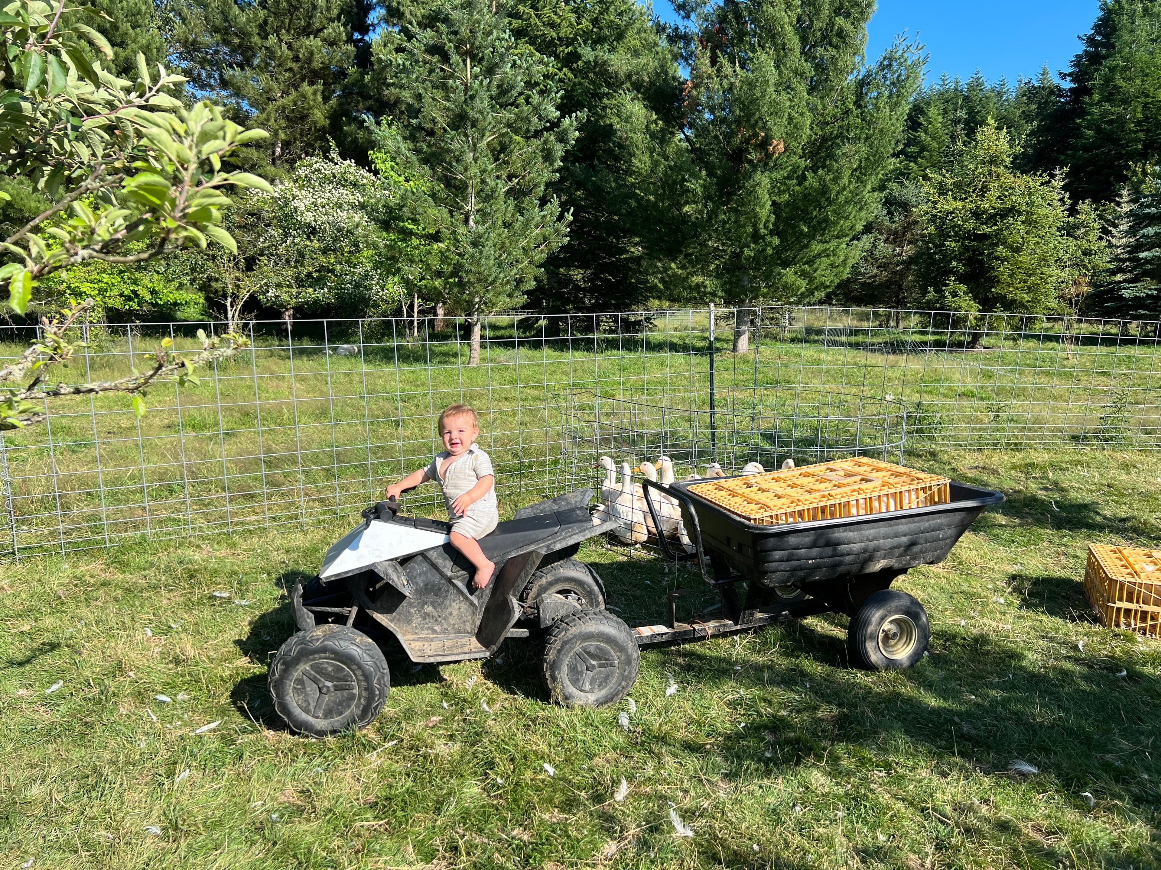 Bridge of the Gods image 7