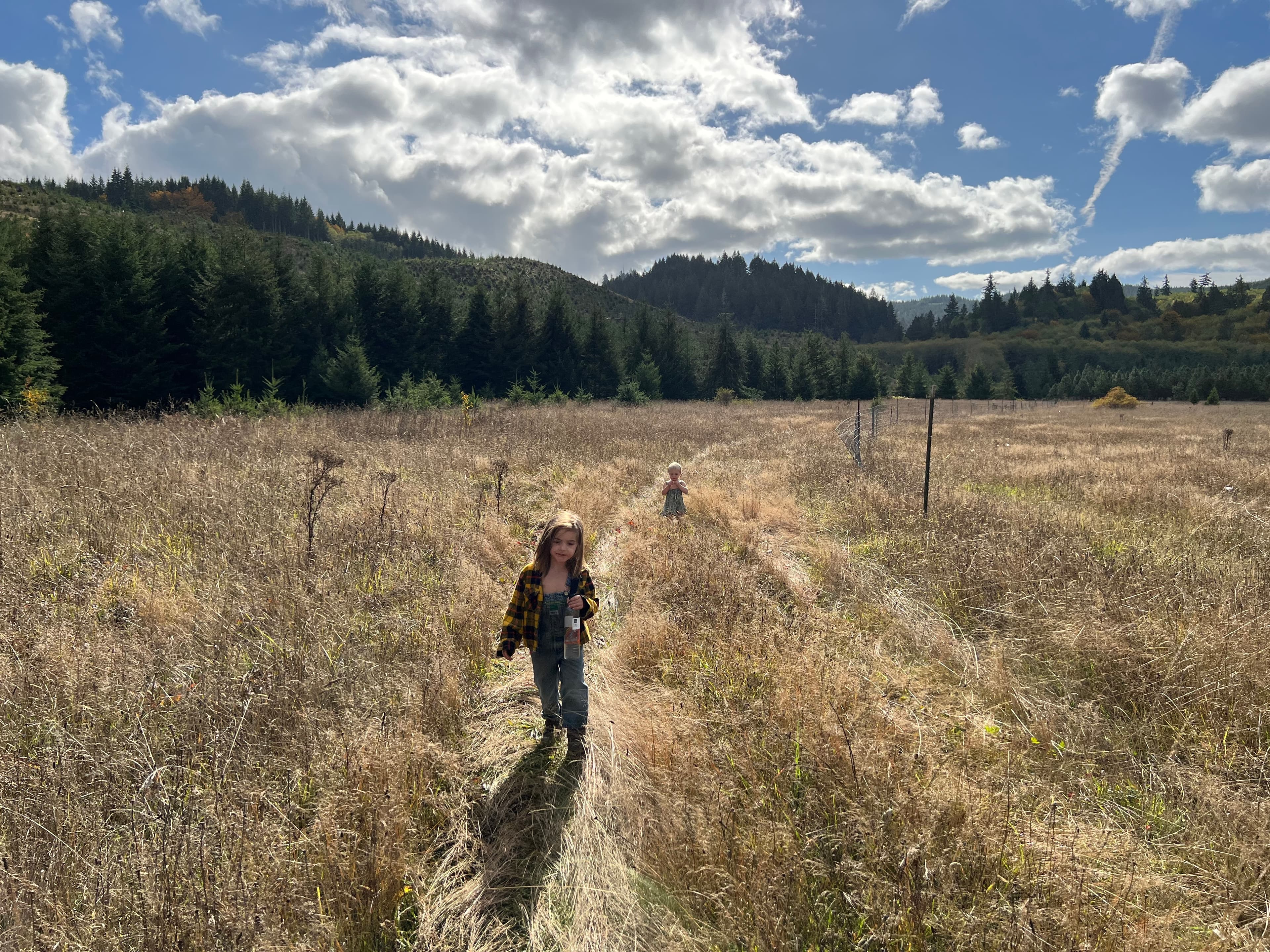 Fencing Neverstill image 3