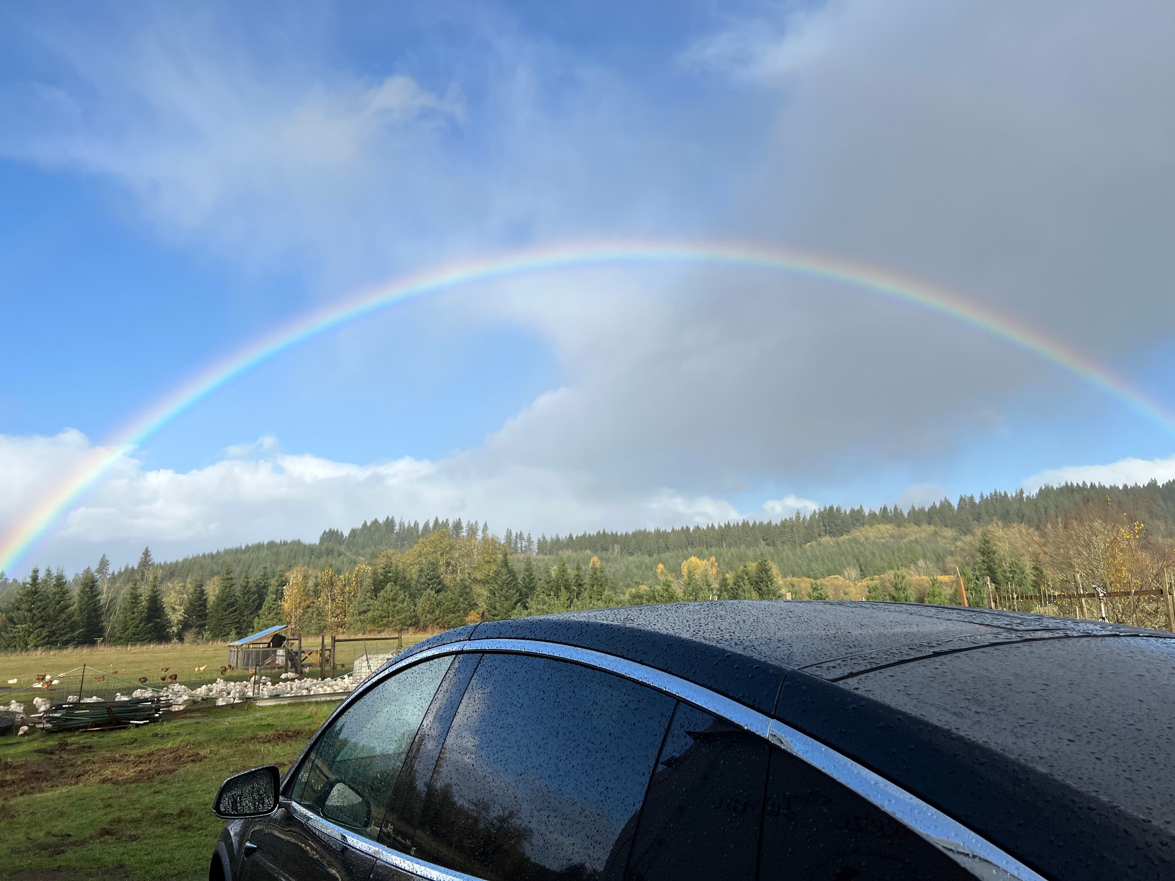 Flood Watch, Chainsaws, Rising Rivers and Rainbows image 2