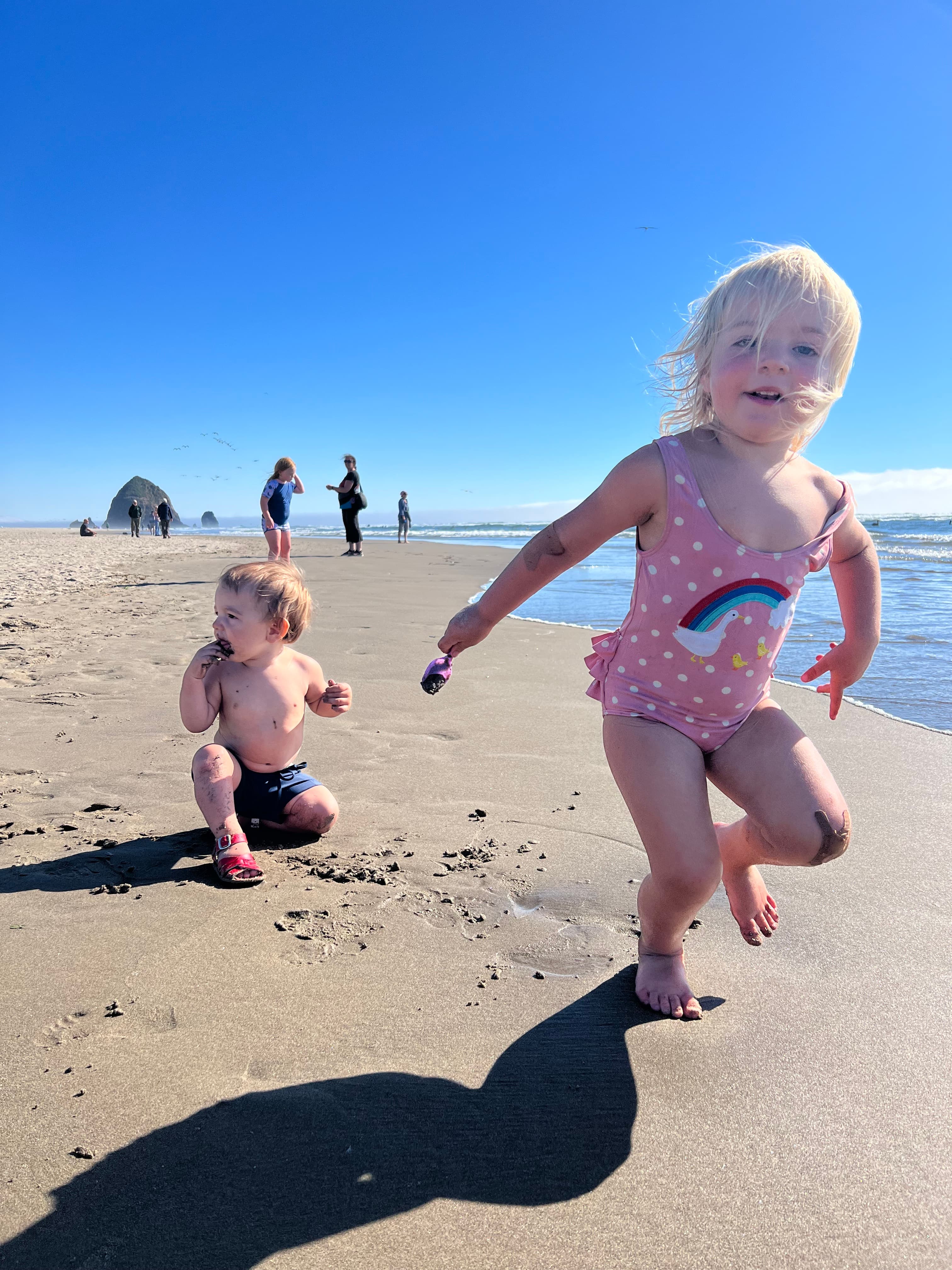 The Oregon Coast image 4