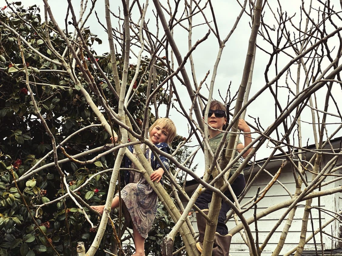 The Sea Breeze Farmily