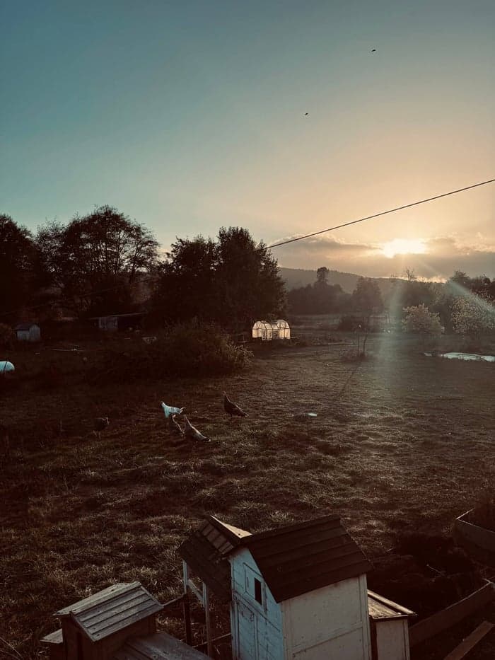 Wild West. Farm Dinner Announcement. image 1